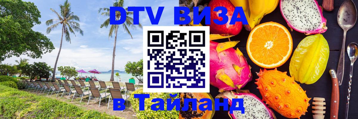 Оформление DTV визы под ключ: стоимость и тарифы, только загранпаспорт - Саранск 